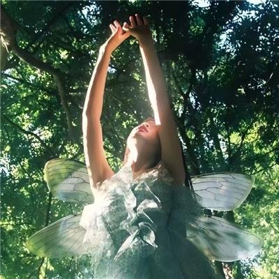 少年派的奇幻漂流国语